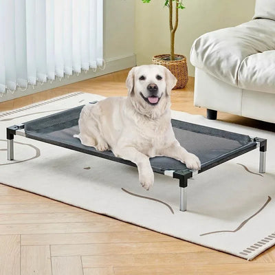 Elevated folding Bed for pet