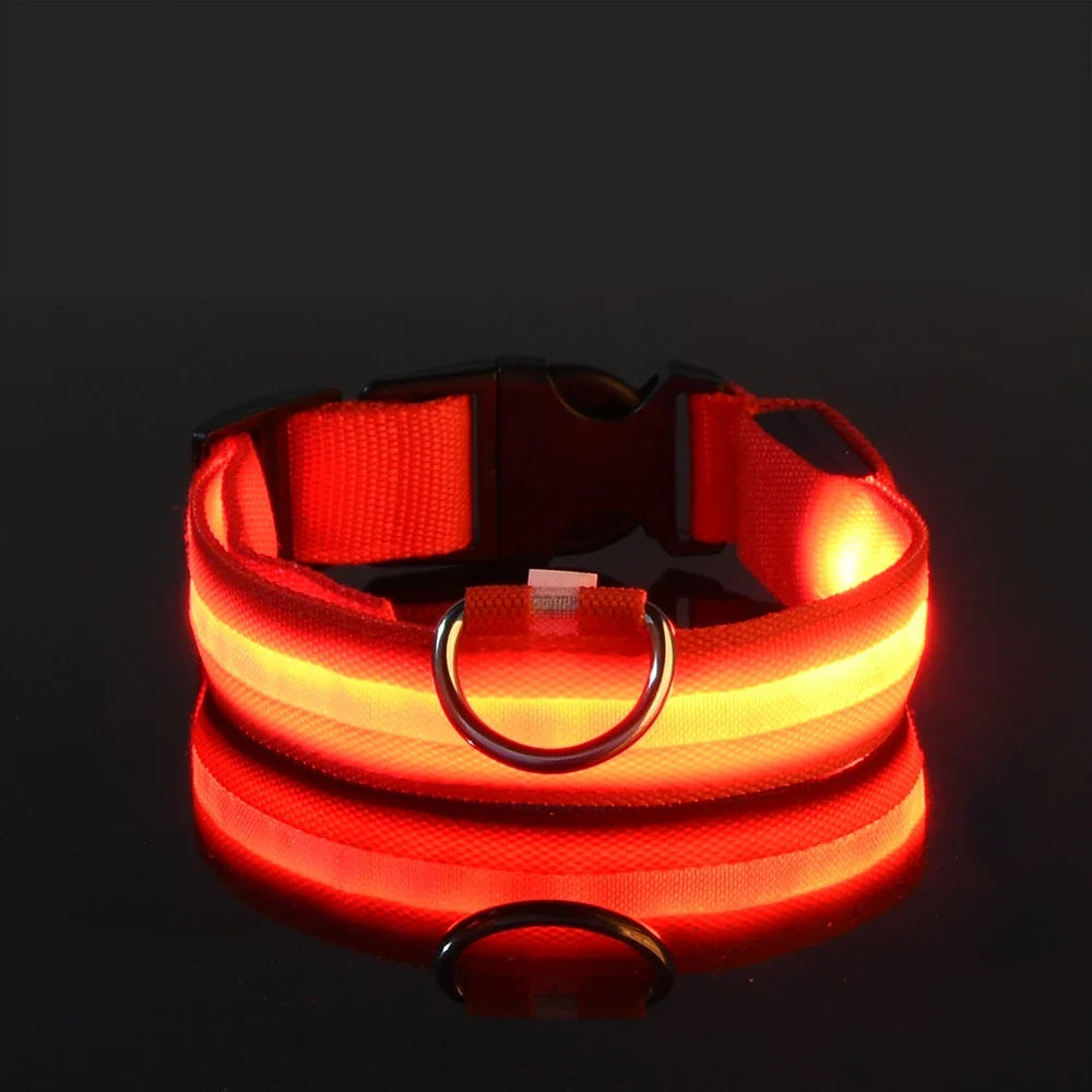 LED Night Safety Flashing Leash