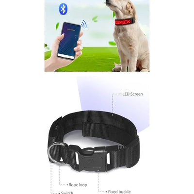 Collar Pet Night Safety Accessories Luminous Collar