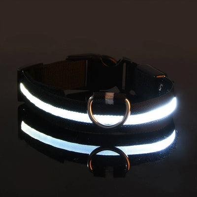 LED Night Safety Flashing Leash