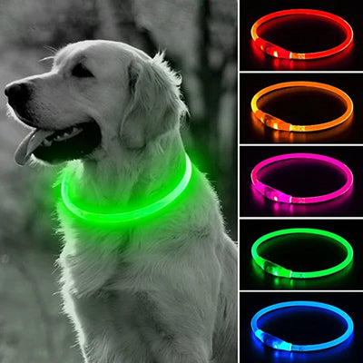 Led Dog Collar Luminous Cat Dog Collar Modes Led Light Glowing