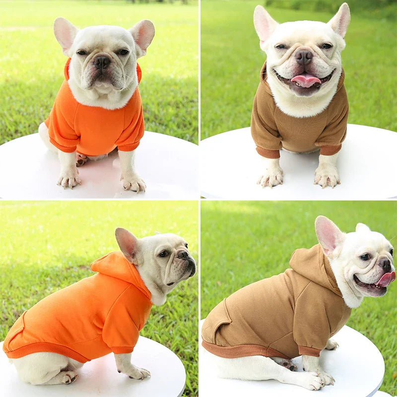 Warm Vest Winter Hoodie for pet