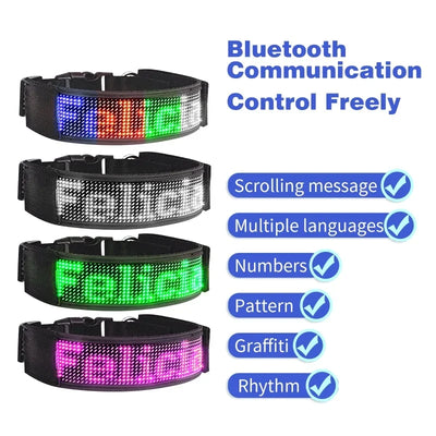 Collar Pet Night Safety Accessories Luminous Collar