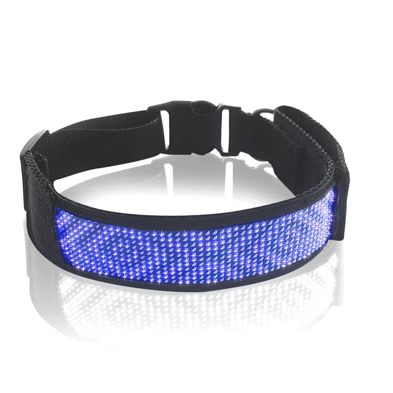 Collar Pet Night Safety Accessories Luminous Collar