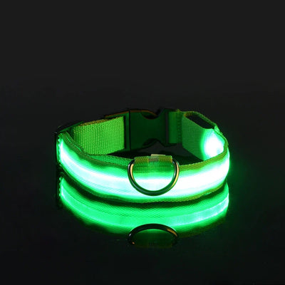 LED Night Safety Flashing Leash