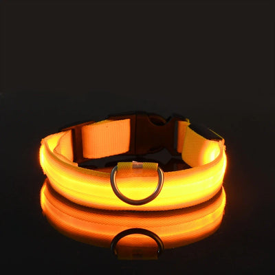 LED Night Safety Flashing Leash