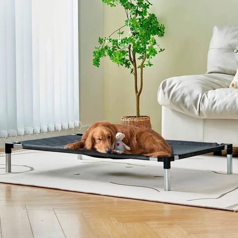 Elevated folding Bed for pet