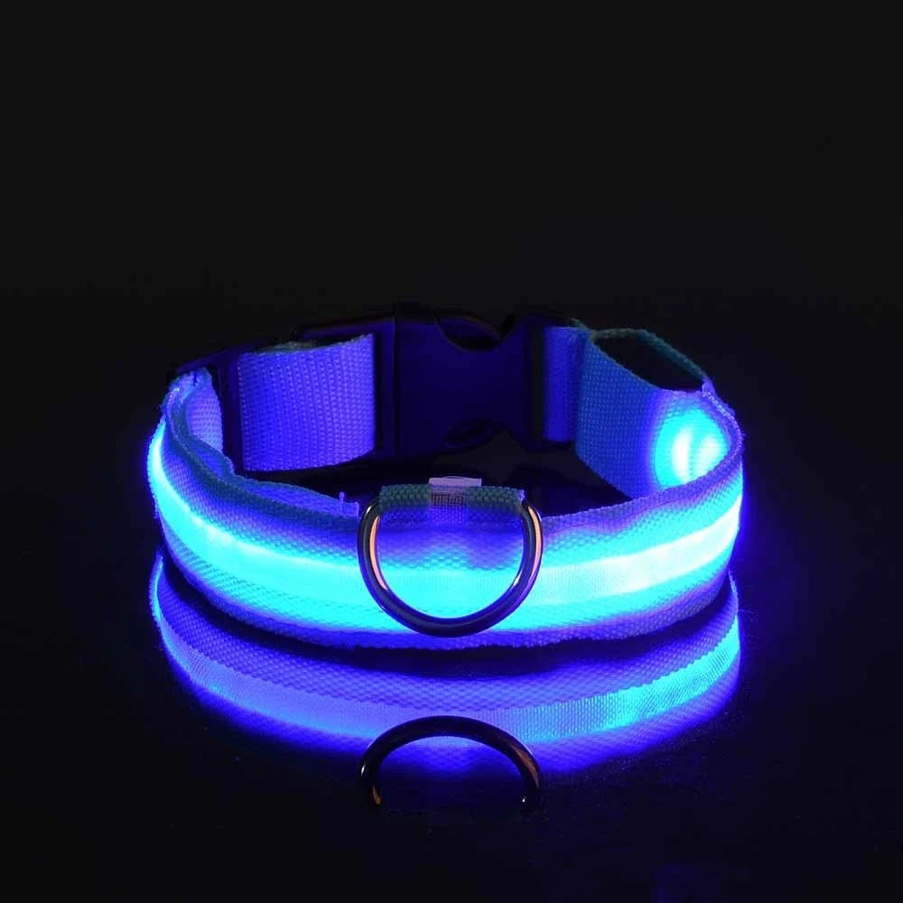 LED Night Safety Flashing Leash