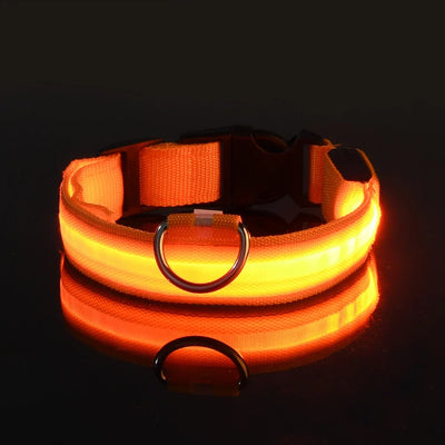 LED Night Safety Flashing Leash