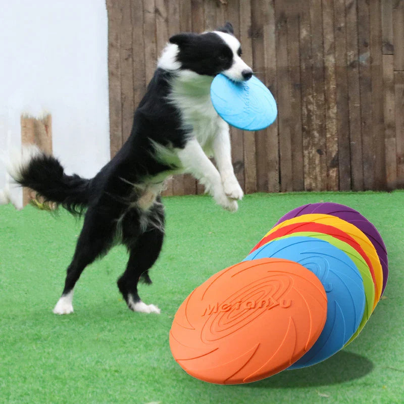 Pet Flying Disk Toy