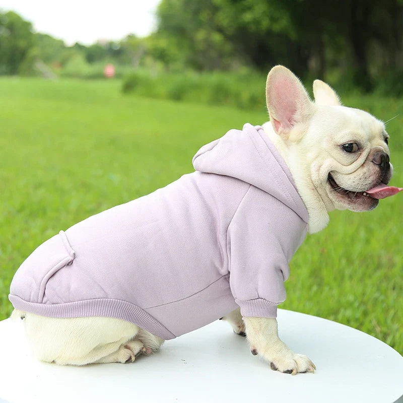 Warm Vest Winter Hoodie for pet