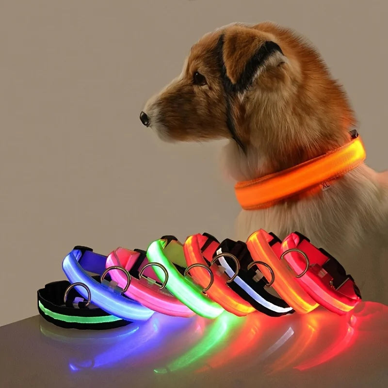 LED Night Safety Flashing Leash