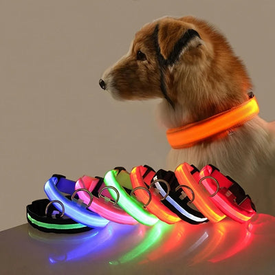 LED Night Safety Flashing Leash