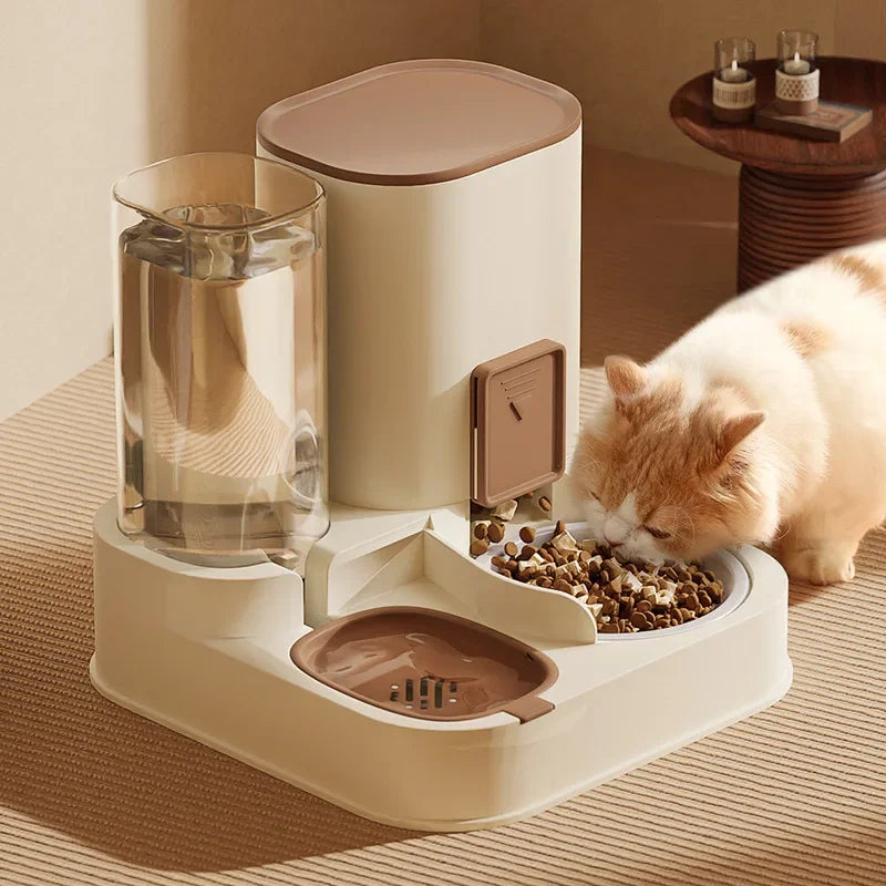 automatic cat feeding