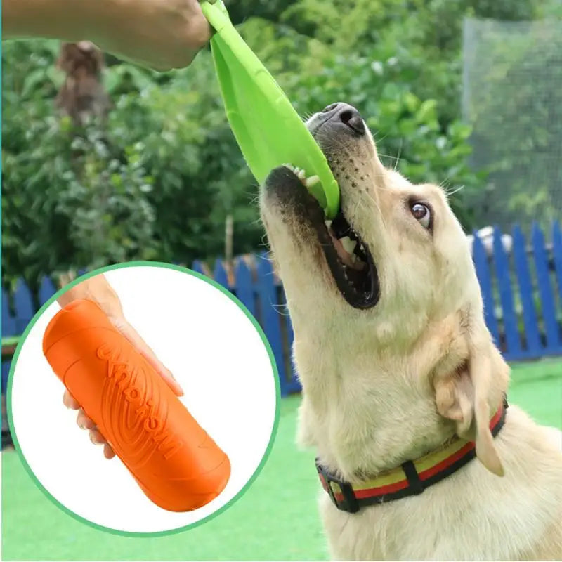 Pet Flying Disk Toy