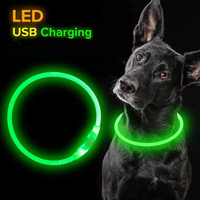 Led Dog Collar Luminous Cat Dog Collar Modes Led Light Glowing