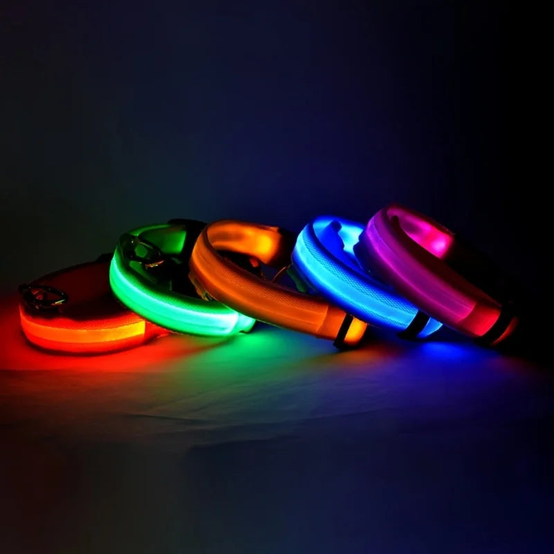 LED Night Safety Flashing Leash