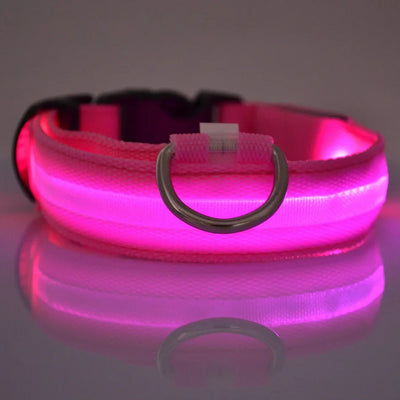 LED Night Safety Flashing Leash