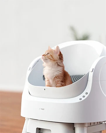 Self Cleaning Automatic Cat Litter Box Open Top Convenient for Multiple Cats with Liners and Mat White