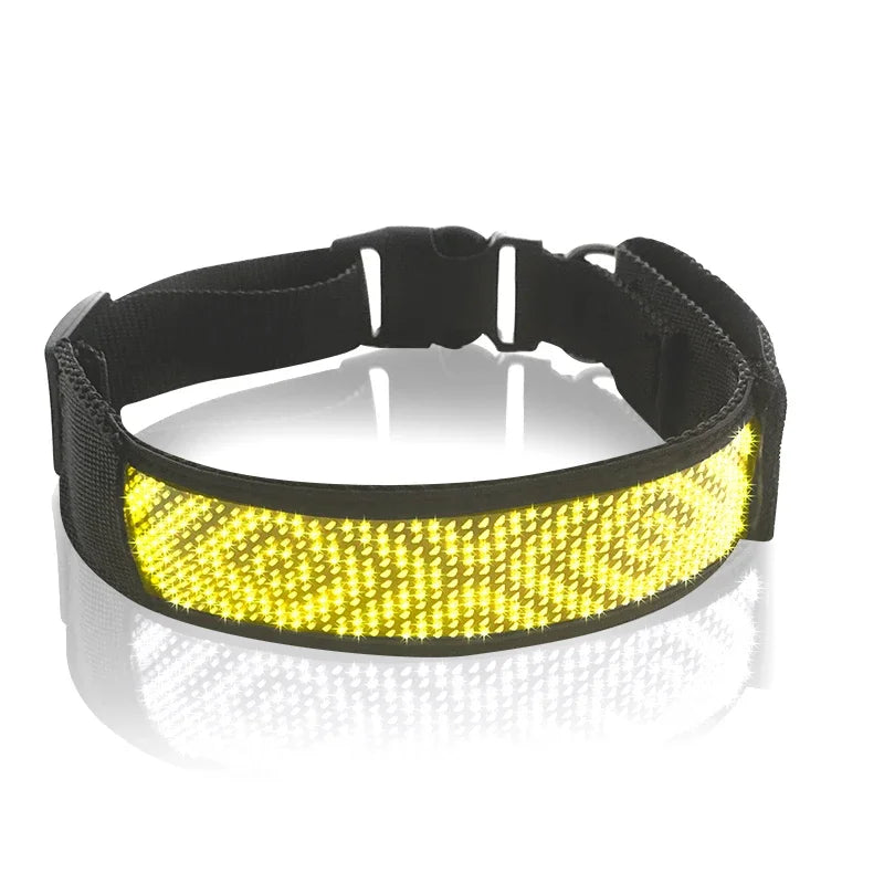 Collar Pet Night Safety Accessories Luminous Collar