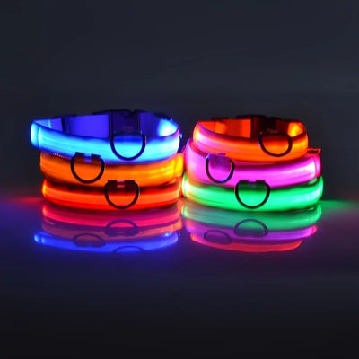 LED Night Safety Flashing Leash