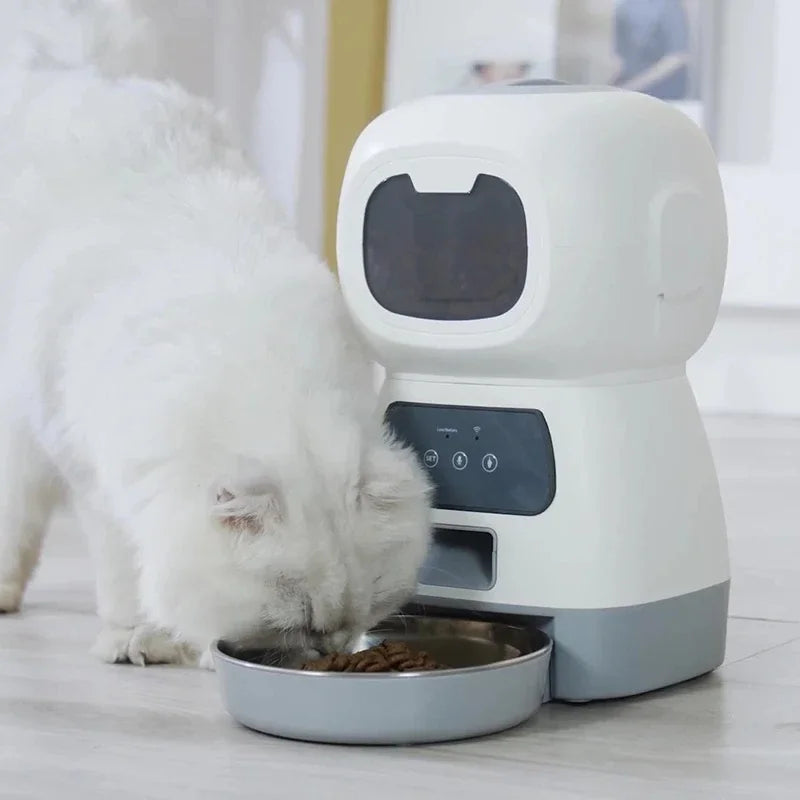 Automatic Pet Feeder For Cats