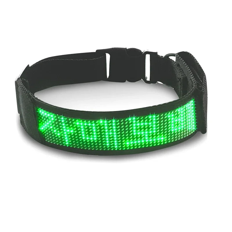 Collar Pet Night Safety Accessories Luminous Collar