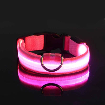 LED Night Safety Flashing Leash