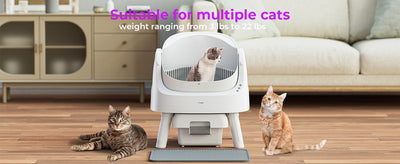 Self Cleaning Automatic Cat Litter Box Open Top Convenient for Multiple Cats with Liners and Mat White