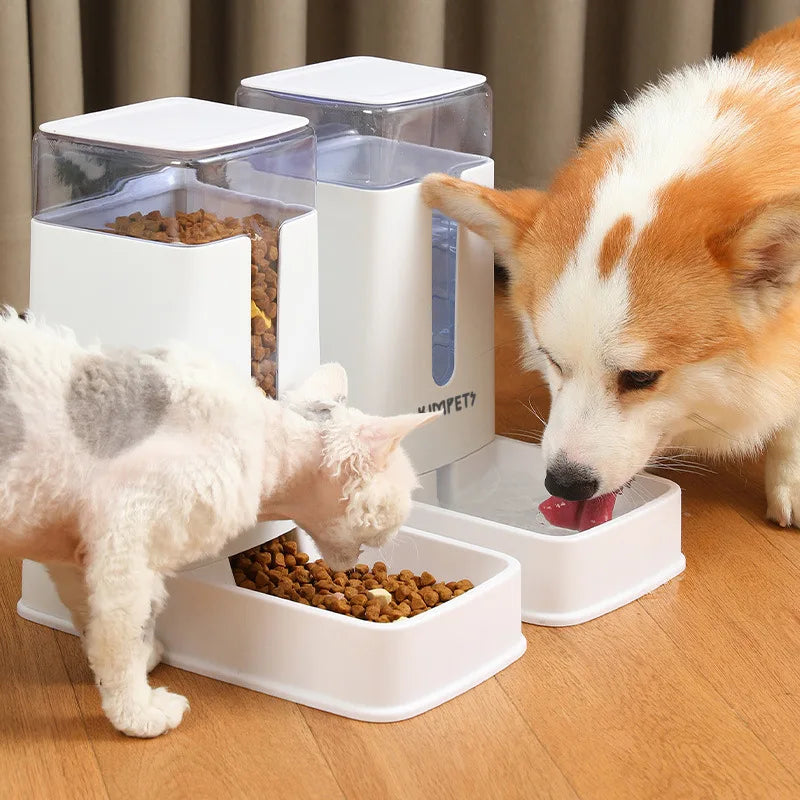 Automatic Feeder Water Dispenser cat