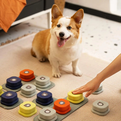 Button Record Talking toy for Pet