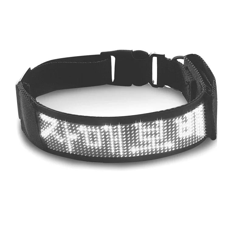 Collar Pet Night Safety Accessories Luminous Collar