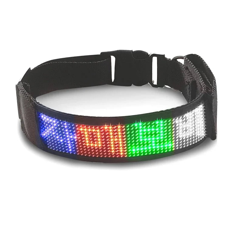 Collar Pet Night Safety Accessories Luminous Collar