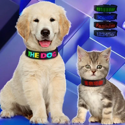 Collar Pet Night Safety Accessories Luminous Collar